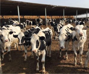 photo_2016-10-25_10-21-03-min