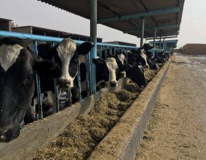 photo_2016-10-25_10-22-31-min