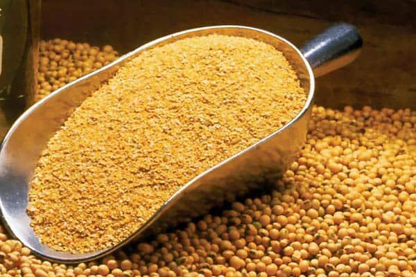 اختلاط ۲۳ درصدی کنجاله سویای توزیعی دولت با خاکستر