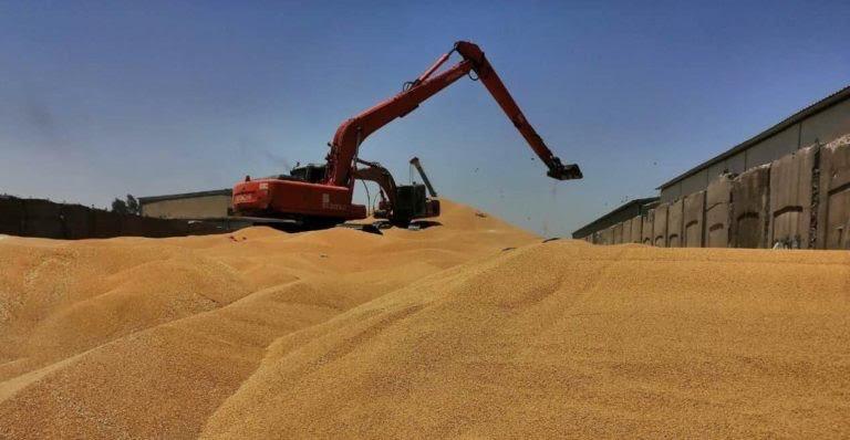 ایران، ترکیه و عربستان در پی خرید محصول “جو” عراق