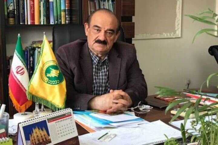 آزادسازی نرخ نهاده‌های دامی ‌راه حل مناسبی برای کنترل بازار گوشت نیست