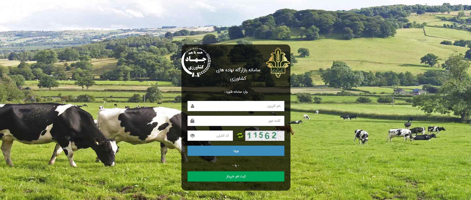 بانک کشاورزی عقیم در سامانه بازارگاه؛ داد معاونت امور دام هم درآمده است