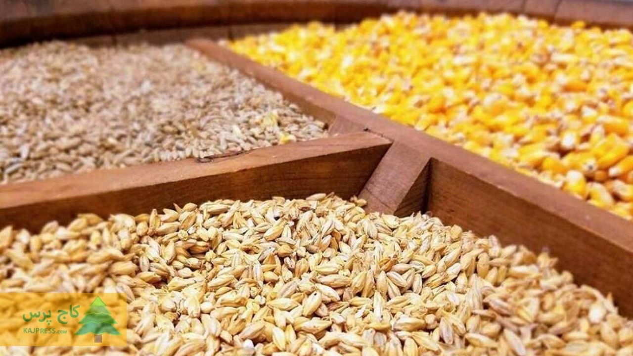 شرکت‌های اقماری در شرکت پشتیبانی امور دام ؛ عامل رانت و فساد در خوراک دام ‌