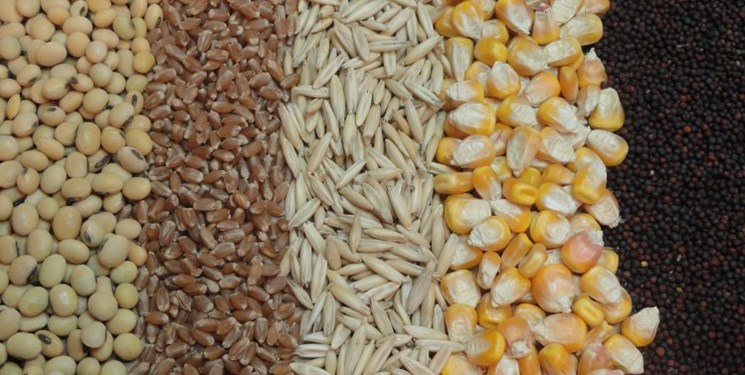 قیمتهای جدید انواع خوراک دام و طیور و فول فت سویا