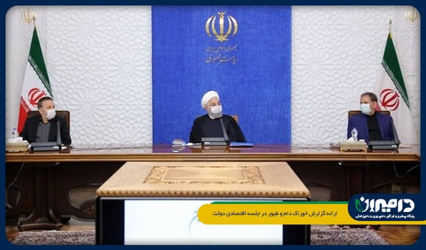 ارائه گزارش دانه‌های روغنی و خوراک دام و طیور در جلسه اقتصادی دولت