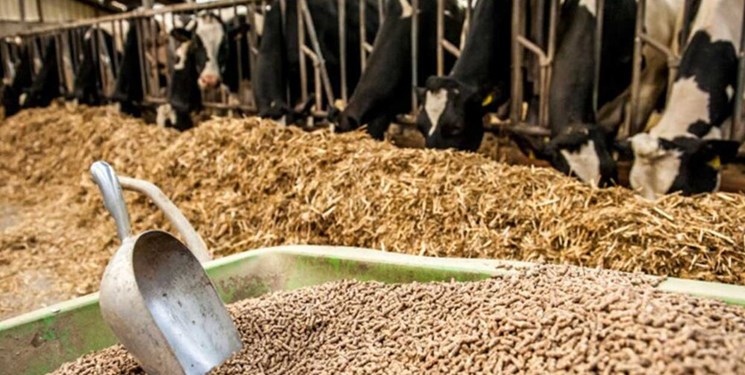 گزارش «خبرشمال» از پاس‌کاری مساله سلامت نهاده‌های دامی میان جهاد کشاورزی و دامپزشکی مازندران؛ ضـرر روی ضـرر!