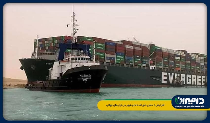 افزایش ۶ دلاری خوراک دام و طیور در بازارهای جهانی