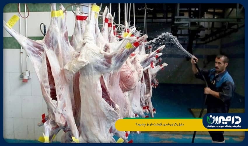 دلیل گران شدن گوشت قرمز چه بود؟