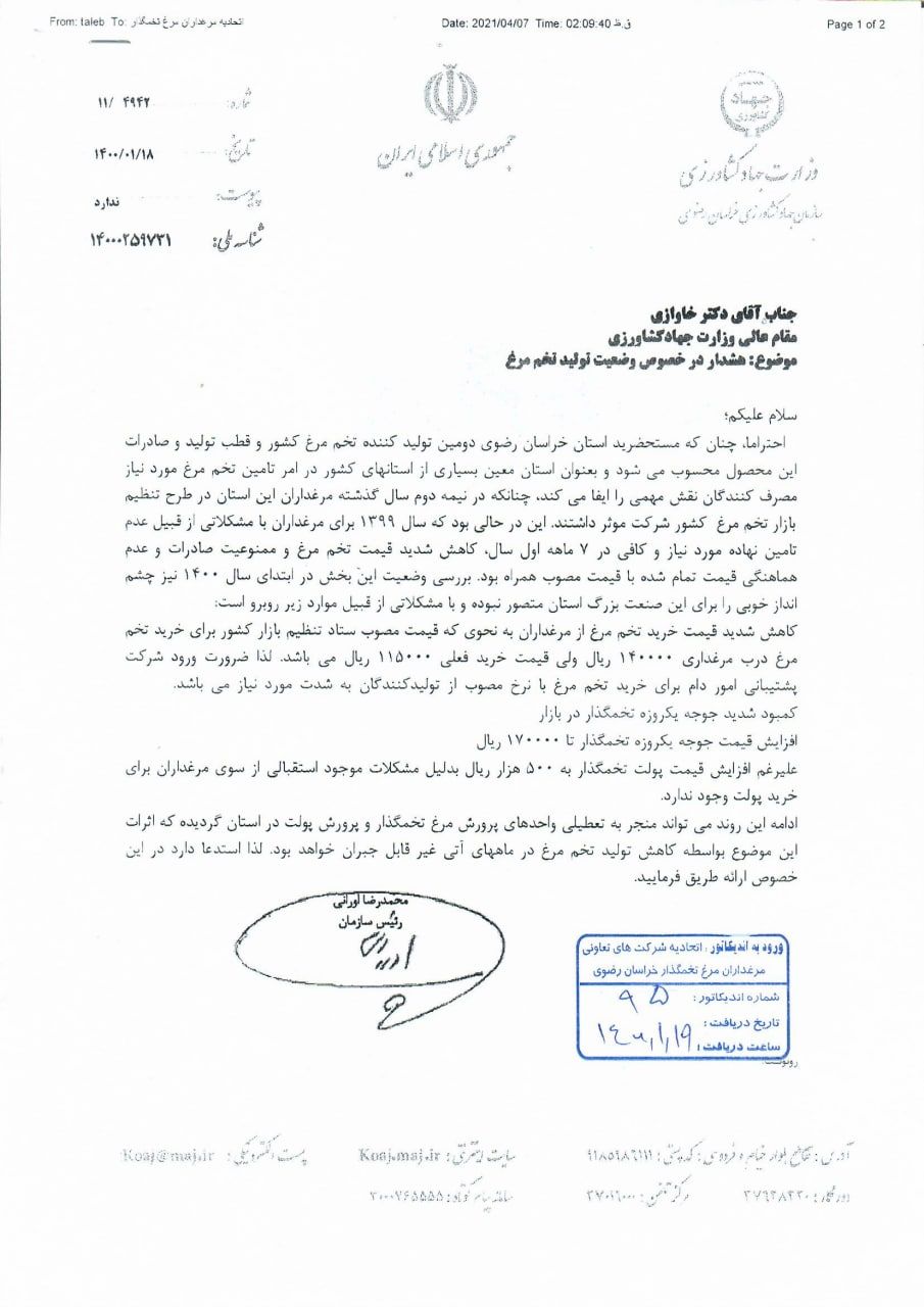 هشدار در خصوص وضعیت تولید تخم مرغ