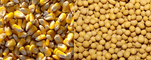 برای یک تا ۲ ماه آینده در تامین‌ نهاده های دامی مشکلی نخواهیم داشت