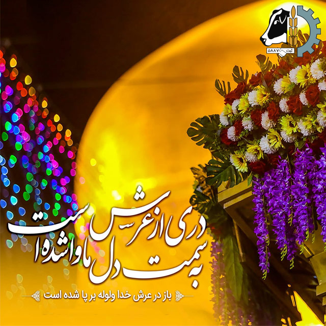 ولادت امام رضا (ع) مبارک