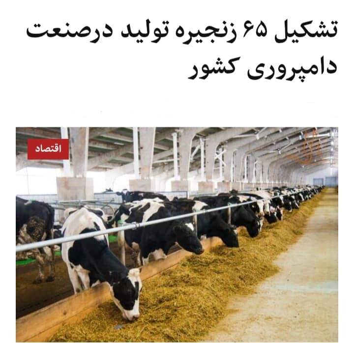تشکیل ۶۵زنجیره تولید در صنعت دامپروری کشور