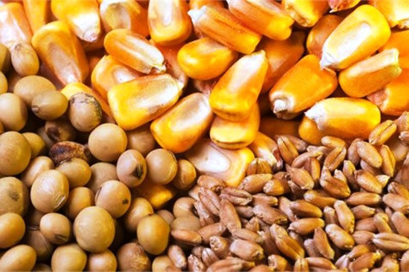 ظرفیت تولید خوراک در کشور ۳۲ میلیون تن است