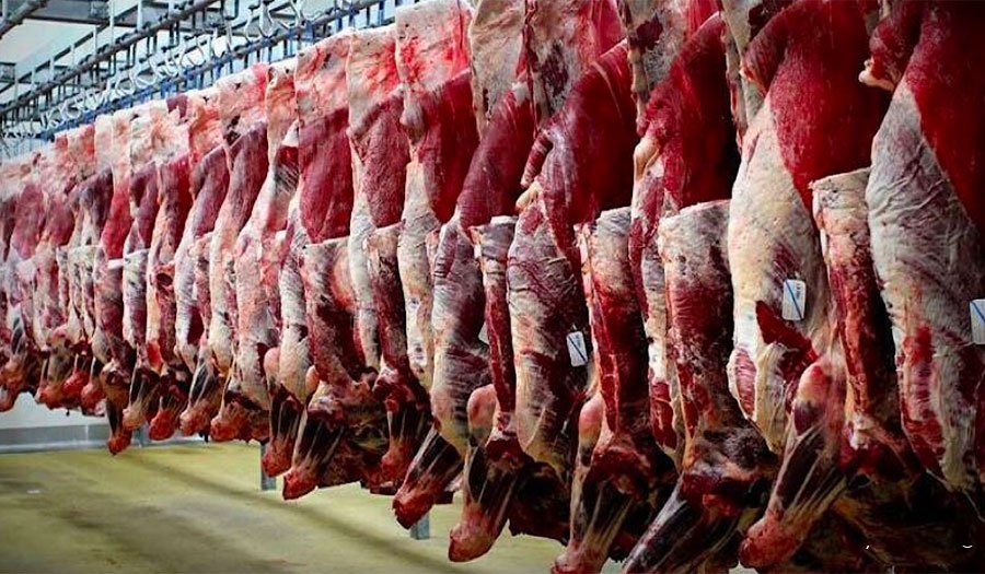 عرضه گسترده دام کشتاری به بازار