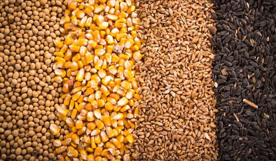 ترخیص محصولات تراریخته منوط به اعلام نظر جهادکشاورزی شد