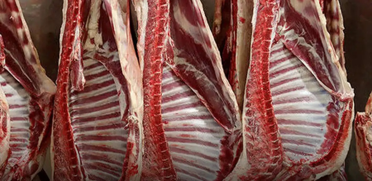 ترجیح واردات گوشت بر حمایت از دامداران داخلی / تصمیمی به زیان اقتصاد کشور و دامدارن
