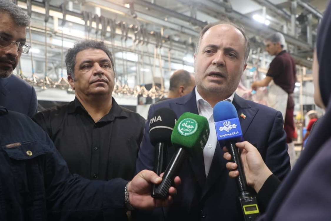 برنامه وزارت جهاد کشاورزی؛ خودکفایی در تولید گوشت قرمز تا پایان دولت چهاردهم