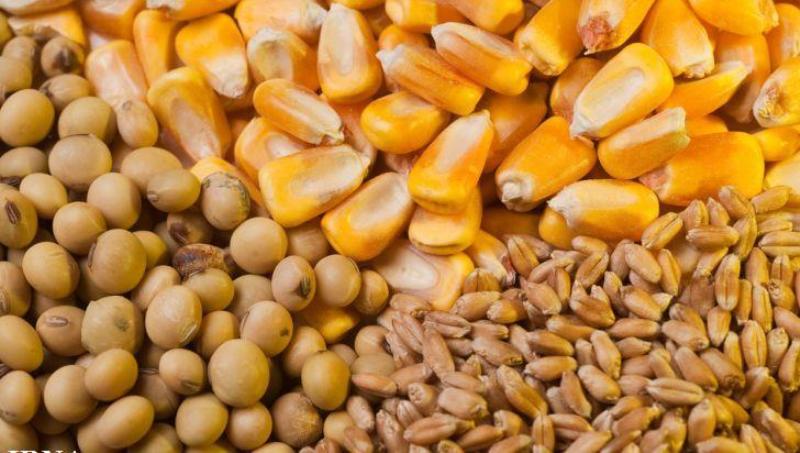 افزایش ۳۰ درصدی قیمت نهاده‌های دامی متوقف شد