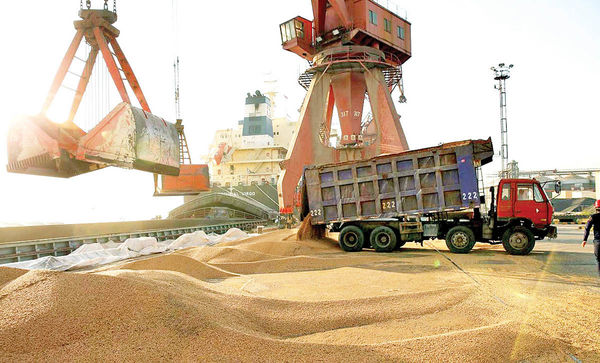 مصوبه فوری شورای گفت‌وگو برای تسهیل واردات نهاده‌های دامی/ حذف تضامین، تسریع تخصیص ارز و پایان موازی‌کاری